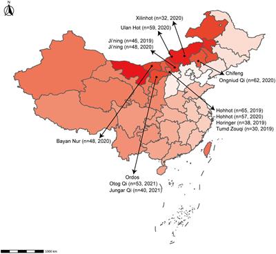 Discovery and characterization of BRBV-sheep virus in nasal swabs from domestic sheep in China